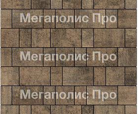 Тротуарная плитка Выбор Старый город Листопад 1Ф.6 60 мм. Шелковица Гранит