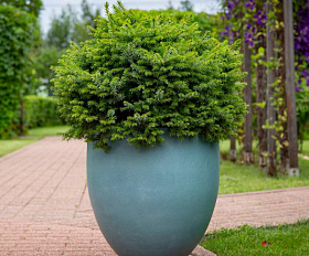 Кашпо Concretika Topper D40 H40 Cloudy Blue