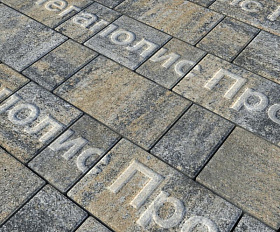 Тротуарная плитка Выбор Старый город Искусственный камень 1Ф.6 60 мм. Базальт