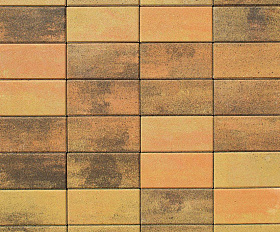 Брусчатка Прямоугольник Листопад 2.П.6 60 мм. Саванна