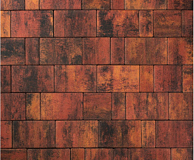 Тротуарная плитка 342 Механический завод Новый Город ColorMix 40мм Вулкан