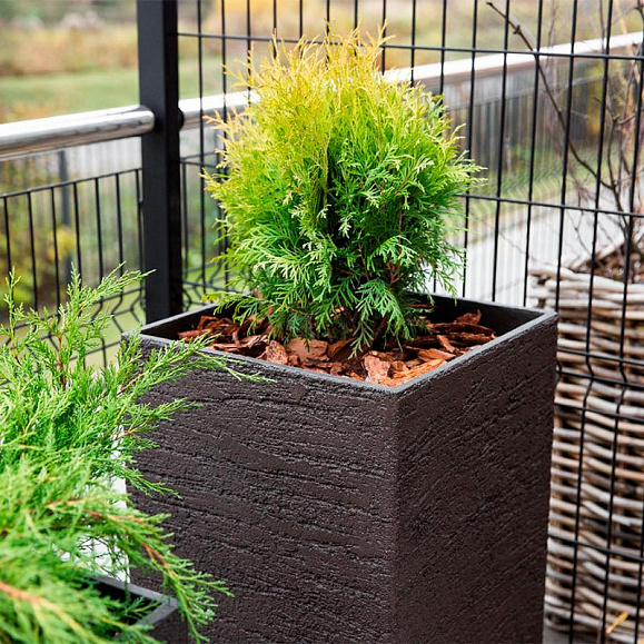 Кашпо Concretika Боул D52 H29 Erosia фото 3