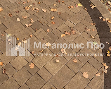 Тротуарная плитка Выбор Старый город Искусственный камень 1Ф.6 60 мм. Плитняк