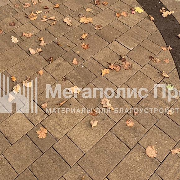 Тротуарная плитка Выбор Старый город Искусственный камень 1Ф.6 60 мм. Плитняк фото 8