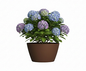 Кашпо Concretika Боул D80H45 Браун 050 3020