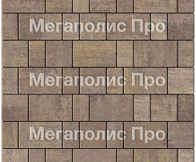 Тротуарная плитка Выбор Старый город Искусственный камень 1Ф.6 60 мм. Плитняк