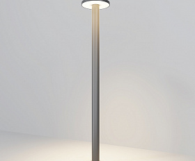 Ландшафтный светильник Wald Maytoni O420FL-L12GF1 цвет Графит