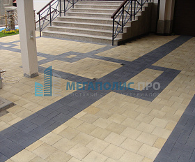 Брусчатка Выбор Прямоугольник 2.П.4 40 мм. Черный