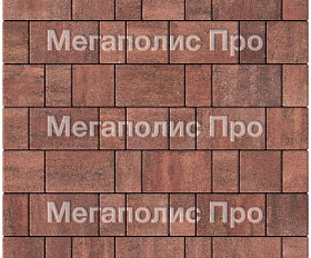 Тротуарная плитка Выбор Старый город Листопад 1Ф.8 80 мм Барселона