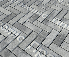 Тротуарная плитка Выбор Паркет Б.4.П.6 Искусственный камень Шунгит