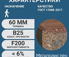 Пошаговая плита для дорожек 600х300х60 мм Серая