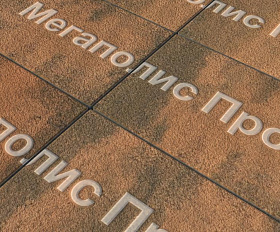 Тротуарная плитка Выбор Прямоугольник Б.5.П.10 600х300х100 мм Листопад Гранит Мустанг