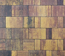 Тротуарная плитка 342 Механический завод Новый Город ColorMix 40мм Виктория