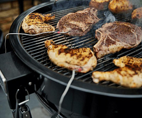 Угольный гриль Weber Summit Kamado E6, Черный 18201004