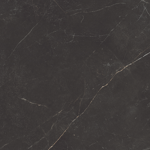 Керамогранитная плитка Estima NL04 60x60 см неполированный фото 1