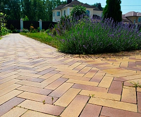 Тротуарная плитка Artstein Паркет 60 мм Color Mix Агат