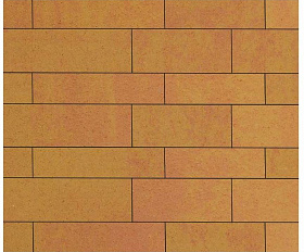 Тротуарная плитка Выбор Паркет мультиформатный Б.16.Псм.8 80 мм Листопад Сахара