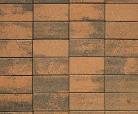 Брусчатка Прямоугольник Листопад 2.П.6 60 мм. Мустанг