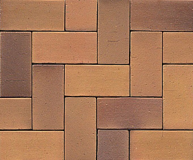 Тротуарная клинкерная брусчатка Muhr №08S Lachsrot spezial, 200*100*52 мм