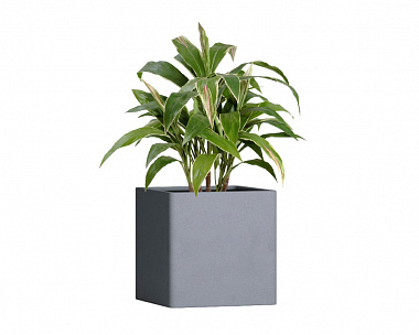 Кашпо Concretika Qadro 30x30x30 Arctiс blue