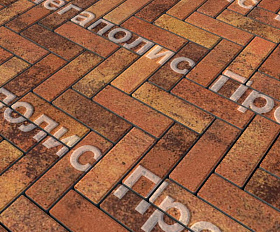 Тротуарная плитка Выбор Паркет Б.4.П.6 Листопад Саванна