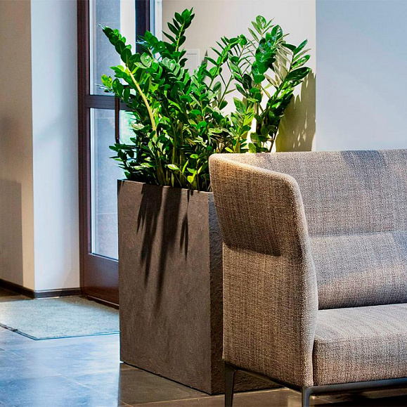 Кашпо Concretika Боул D52 H29 Premium Grey фото 3