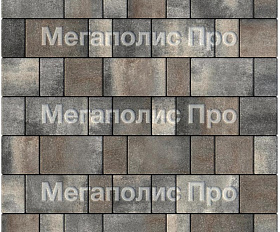 Тротуарная плитка Выбор Старый город Листопад 1Ф.6 60 мм Старый замок