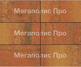 Тротуарная плитка Выбор Прямоугольник Б.5.П.10 600х300х100 мм Листопад Гранит Арабская ночь