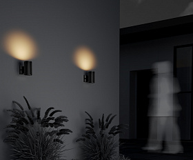 Настенный светильник (бра) Rando Maytoni O419WL-01B цвет Черный