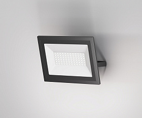 Прожектор Flood 6500К 50Вт IP 65 Maytoni FL001-L50B6K цвет Черный