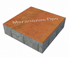 Тротуарные плиты Выбор Квадрат Б.1.К.8 300х300х80 мм Листопад Арабская ночь