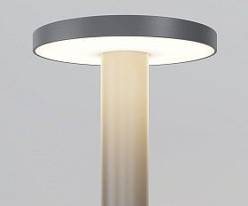 Ландшафтный светильник Wald Maytoni O420FL-L12GF1 цвет Графит