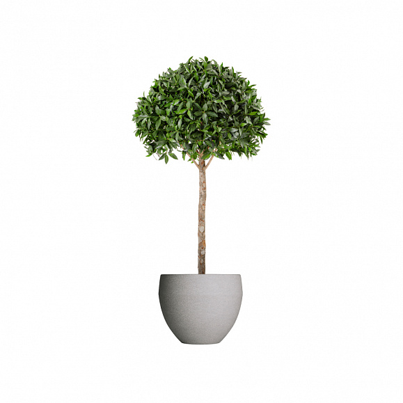 Кашпо TERRAFAKTURA Гира D70x60 Cool grey фото 1