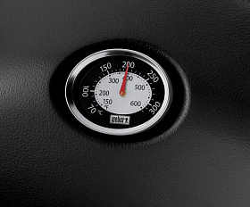 Газовый гриль Weber Q 1200, Черный 51010075