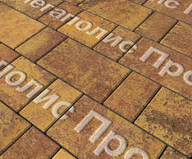 Тротуарная плитка Выбор Старый город Листопад 1Ф.6 60 мм Осень