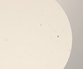 Настенный светильник (бра) Bold Maytoni O598WL-01B цвет Черный