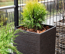 Кашпо Concretika Conic 30x30x50 Erosia