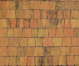 Тротуарная плитка Выбор Антик Б.3.А.6 60мм Саванна