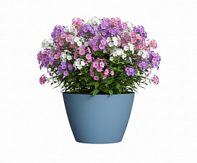 Кашпо Concretika Боул D80H45 Блю 5024