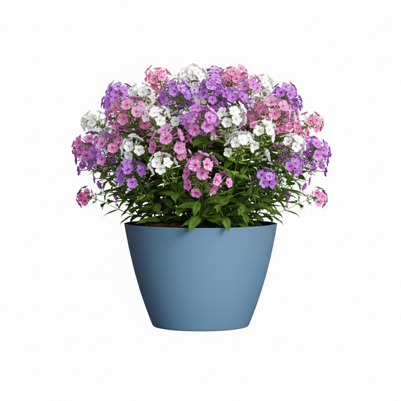 Кашпо Concretika Боул D80H45 Блю 5024 фото 6