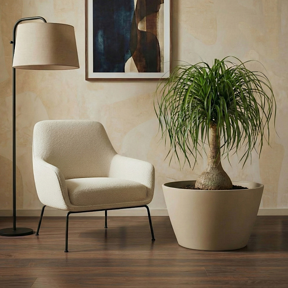 Кашпо Concretika Боул D80H45 Имбирный 1019 фото 1