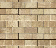 Брусчатка Braer Прямоугольник ColorMix 200х100х60мм цвет Миндаль