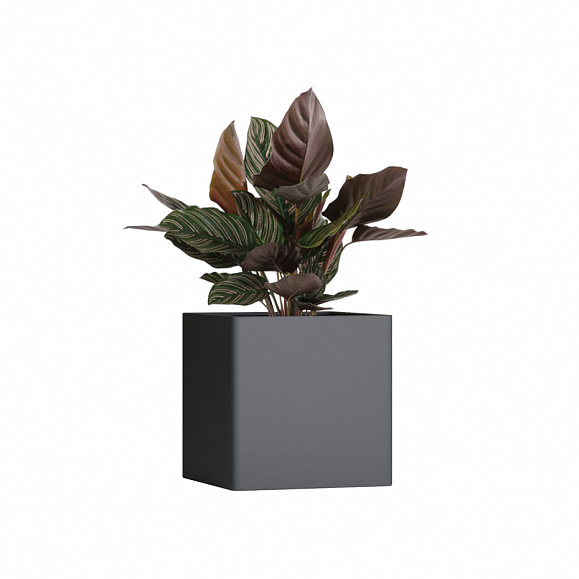 Кашпо TERRAFAKTURA Квадро 50x50x50 Маренго фото 1