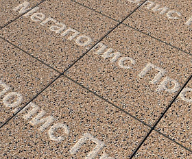 Тротуарные плиты Выбор Квадрат Б.1.К.6 300х300х60 мм Стоунмикс Кремовый с черным