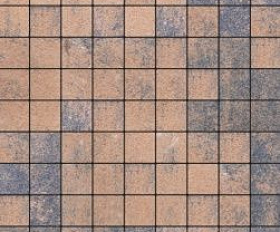 Тротуарная плитка Выбор Квадрат Б.3.К.8 100х100х80 мм Листопад Мустанг