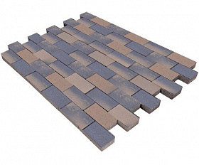 Тротуарная плитка Steinrus Прямоугольник Лайн 200х100х40 мм ColorMix ST Брик