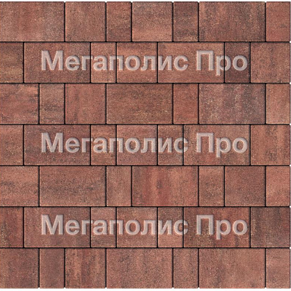 Тротуарная плитка Выбор Старый город Листопад А.1.Фсм.4 40 мм. Барселона фото 3