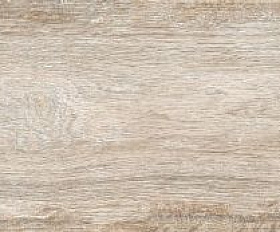 Керамогранитная плитка Estima BG00 120x19,4 см неполированный