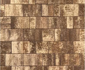 Тротуарная плитка 342 Механический завод Новый Город ColorMix 60мм Невада