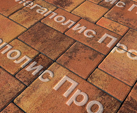 Тротуарная плитка Выбор Мюнхен Б.2. Фсм.6 60 мм Листопад Саванна